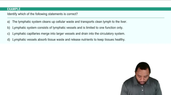 Introduction to Lymphatic System Example 1