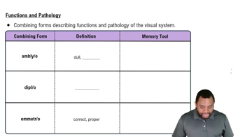 Functions and Pathology Concept 2
