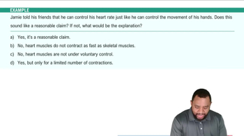 Types of Muscles  Example 2