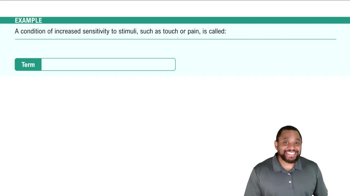 Functions and Pathology Example 2