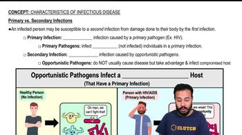 Primary vs. Secondary Infections