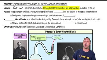 Pasteur's Experiments on Spontaneous Generation