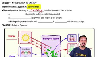 Thermodynamics:System vs. Surroundings