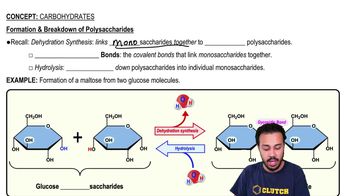 Formation & Breakdown of Polysaccharides