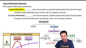 Types of Inflammatory Responses