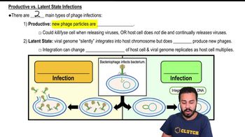 Productive vs. Latent State Infections