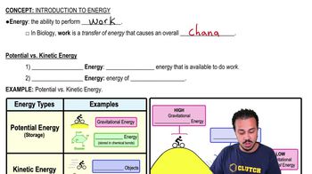 Introduction to Energy