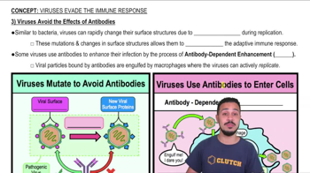 3) Viruses Avoid the Effects of Antibodies