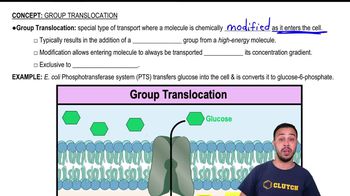 Group Translocation