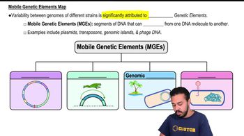 Genome Variability