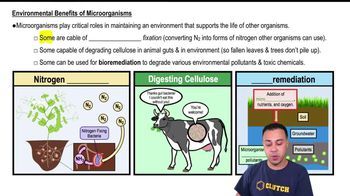 Environmental Benefits of Microorganisms