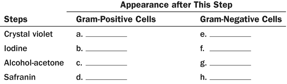 Table with steps of Gram stain and blank spaces to fill in the appearance of Gram-positive and Gram-negative cells after each step.
