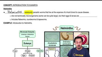 Helminths