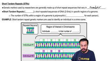 Short Tandem Repeats (STRs)