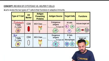 Review of Cytotoxic vs Helper T Cells