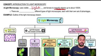 Introduction to Light Microscopy