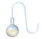 Diagram of a swan-neck flask showing microbes trapped in the bend, preventing contamination of the broth.