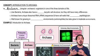 Introduction to Archaea