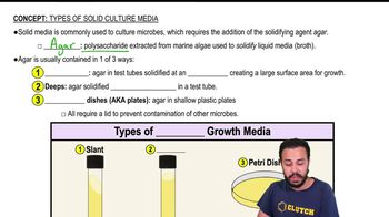 Types of Solid Culture Media