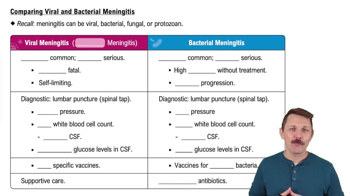 Comparing Viral and Bacterial Meningitis