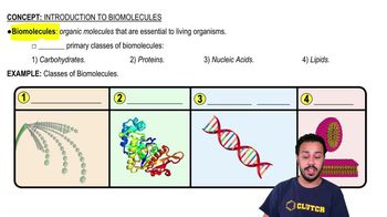 Introduction to Biomolecules