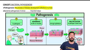 Intro to Bacterial Pathogenesis