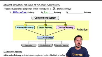 1) Alternative Pathway