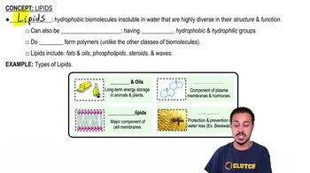 Lipids