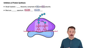 Inhibitors of Protein Synthesis