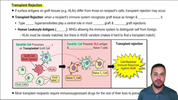 Transplant Rejection