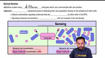 Quorum Sensing