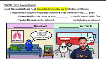 The Human Microbiome