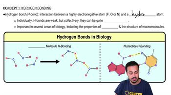 Hydrogen Bonding