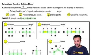 Carbon is an Excellent Building Block