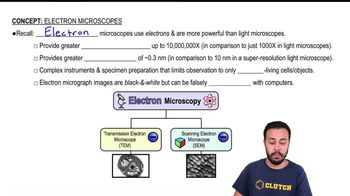 Electron Microscopes