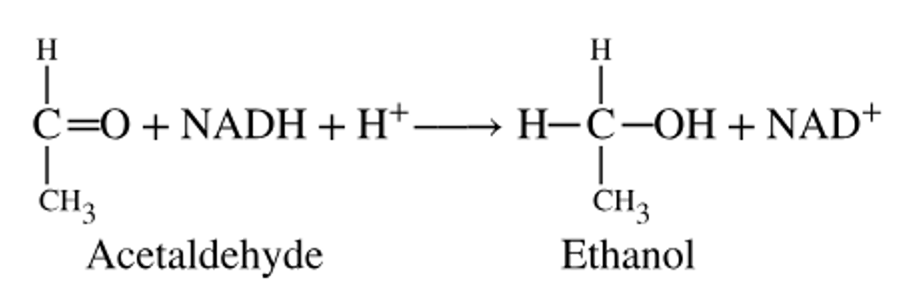 Chemical reaction showing acetaldehyde converted to ethanol with NADH oxidized to NAD⁺ and H⁺ involved.