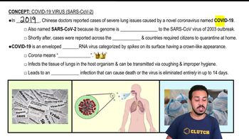 COVID-19 (SARS-CoV-2)