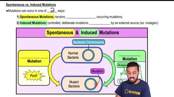 Spontaneous vs. Induced Mutations