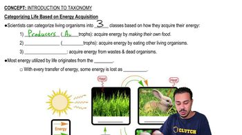 Categorizing Life Based on Energy Acquisition