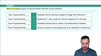 Type IV Hypersensitivities Example 1