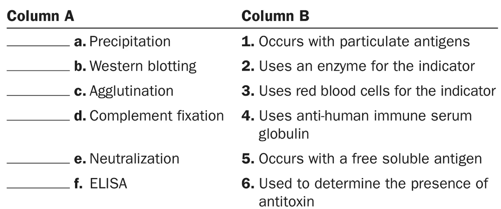 Matching exercise with serological tests in column A and their descriptions in column B for educational purposes.