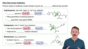 Other Beta-lactam Antibiotics