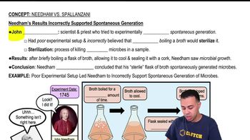 Needham vs. Spallanzani