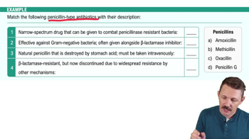 Inhibitors of Cell Wall Synthesis: Beta-lactam & Penicillin Example 2