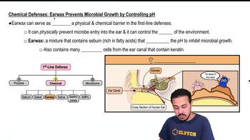 Chemical Defenses: Earwax Prevents Microbial Growth by Controlling pH