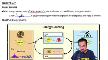 Energy Coupling