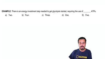 Glycolysis Example 1