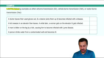 Horizontal Disease Transmission Example 1