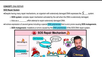 SOS Repair System