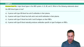 Type II Hypersensitivities Example 1
